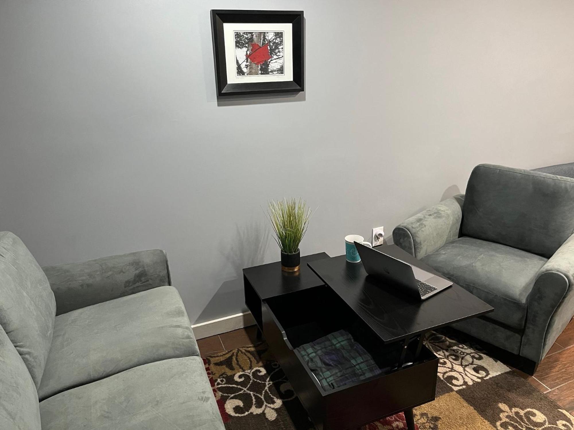 Morristown Plush Garden Level Apartment Near Stowe מראה חיצוני תמונה